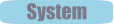 System