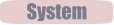 System