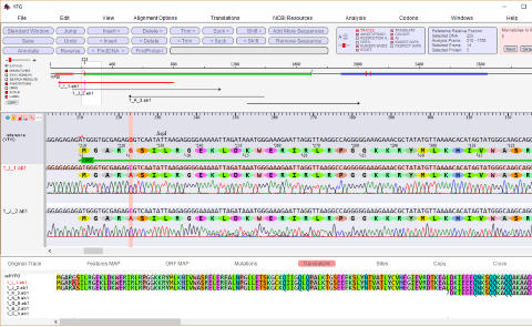 DNA Sequencing with DNADynamo Software