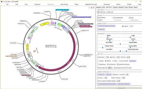 DNA Mapping with DNADynamo Software