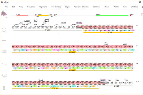 DNA Cloning with DNADynamo Software