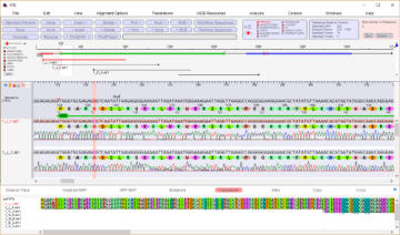 DNA Sequencing with DNADynamo Software