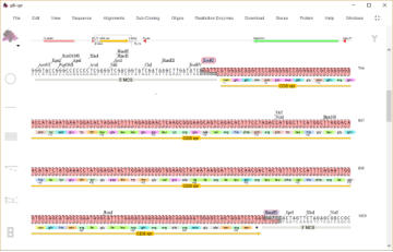 DNA Cloning with DNADynamo Software
