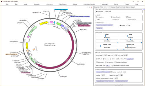 DNA Mapping with DNADynamo Software