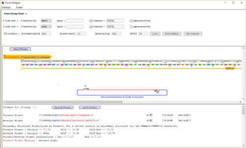 Primer Design with DNADynamo Software
