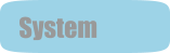 System