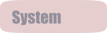 System