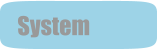 System