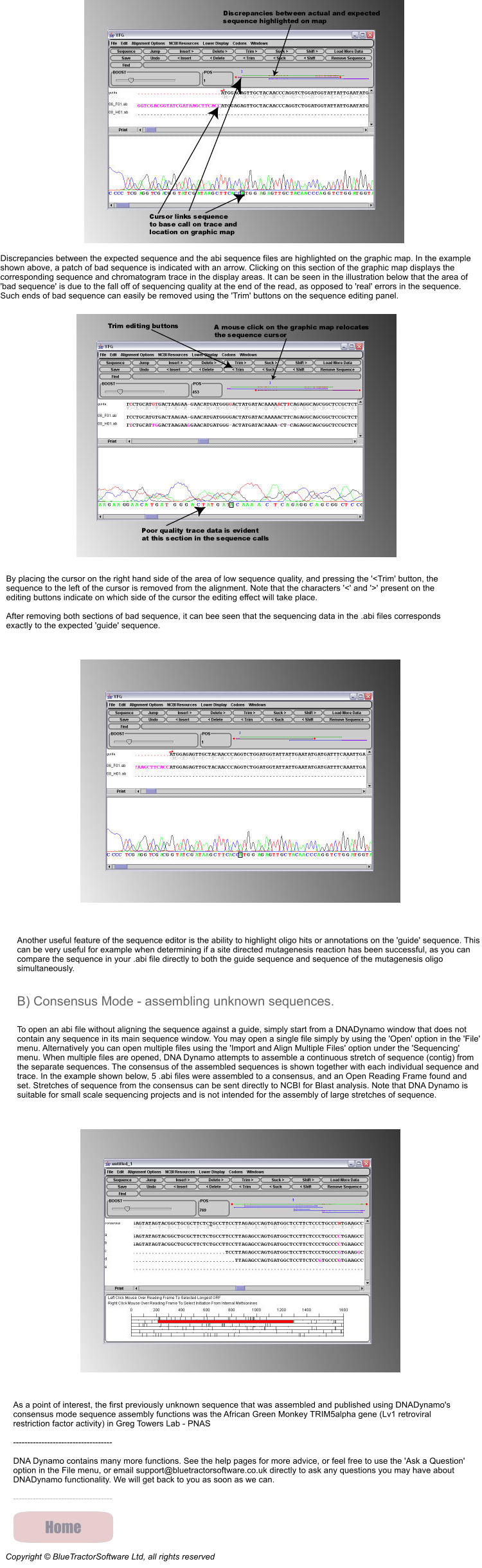 Discrepancies between the expected sequence and the abi sequence files are highlighted on the graphic map. In the example shown above, a patch of bad sequence is indicated with an arrow. Clicking on this section of the graphic map displays the corresponding sequence and chromatogram trace in the display areas. It can be seen in the illustration below that the area of 'bad sequence' is due to the fall off of sequencing quality at the end of the read, as opposed to 'real' errors in the sequence. Such ends of bad sequence can easily be removed using the 'Trim' buttons on the sequence editing panel. By placing the cursor on the right hand side of the area of low sequence quality, and pressing the '<Trim' button, the sequence to the left of the cursor is removed from the alignment. Note that the characters '<' and '>' present on the editing buttons indicate on which side of the cursor the editing effect will take place.  After removing both sections of bad sequence, it can bee seen that the sequencing data in the .abi files corresponds exactly to the expected 'guide' sequence.  Another useful feature of the sequence editor is the ability to highlight oligo hits or annotations on the 'guide' sequence. This can be very useful for example when determining if a site directed mutagenesis reaction has been successful, as you can compare the sequence in your .abi file directly to both the guide sequence and sequence of the mutagenesis oligo simultaneously.  B) Consensus Mode - assembling unknown sequences.  To open an abi file without aligning the sequence against a guide, simply start from a DNADynamo window that does not contain any sequence in its main sequence window. You may open a single file simply by using the 'Open' option in the 'File' menu. Alternatively you can open multiple files using the 'Import and Align Multiple Files' option under the 'Sequencing' menu. When multiple files are opened, DNA Dynamo attempts to assemble a continuous stretch of sequence (contig) from the separate sequences. The consensus of the assembled sequences is shown together with each individual sequence and trace. In the example shown below, 5 .abi files were assembled to a consensus, and an Open Reading Frame found and set. Stretches of sequence from the consensus can be sent directly to NCBI for Blast analysis. Note that DNA Dynamo is suitable for small scale sequencing projects and is not intended for the assembly of large stretches of sequence.  As a point of interest, the first previously unknown sequence that was assembled and published using DNADynamo's consensus mode sequence assembly functions was the African Green Monkey TRIM5alpha gene (Lv1 retroviral restriction factor activity) in Greg Towers Lab - PNAS  -----------------------------------  DNA Dynamo contains many more functions. See the help pages for more advice, or feel free to use the 'Ask a Question' option in the File menu, or email support@bluetractorsoftware.co.uk directly to ask any questions you may have about DNADynamo functionality. We will get back to you as soon as we can.  ----------------------------------- Copyright � BlueTractorSoftware Ltd, all rights reserved Home Home
