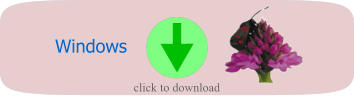 Windows click to download