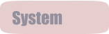 System