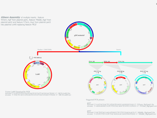 DNA Tracking Software
