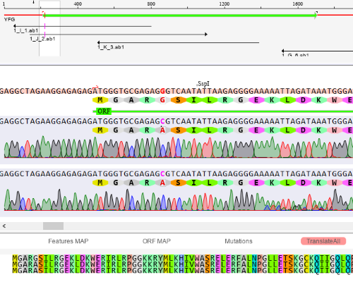 DNA Sequencing Software
