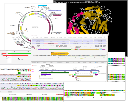 DNADynamo Software