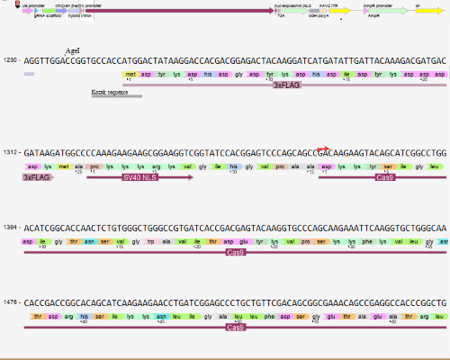 DNA Analysis Software